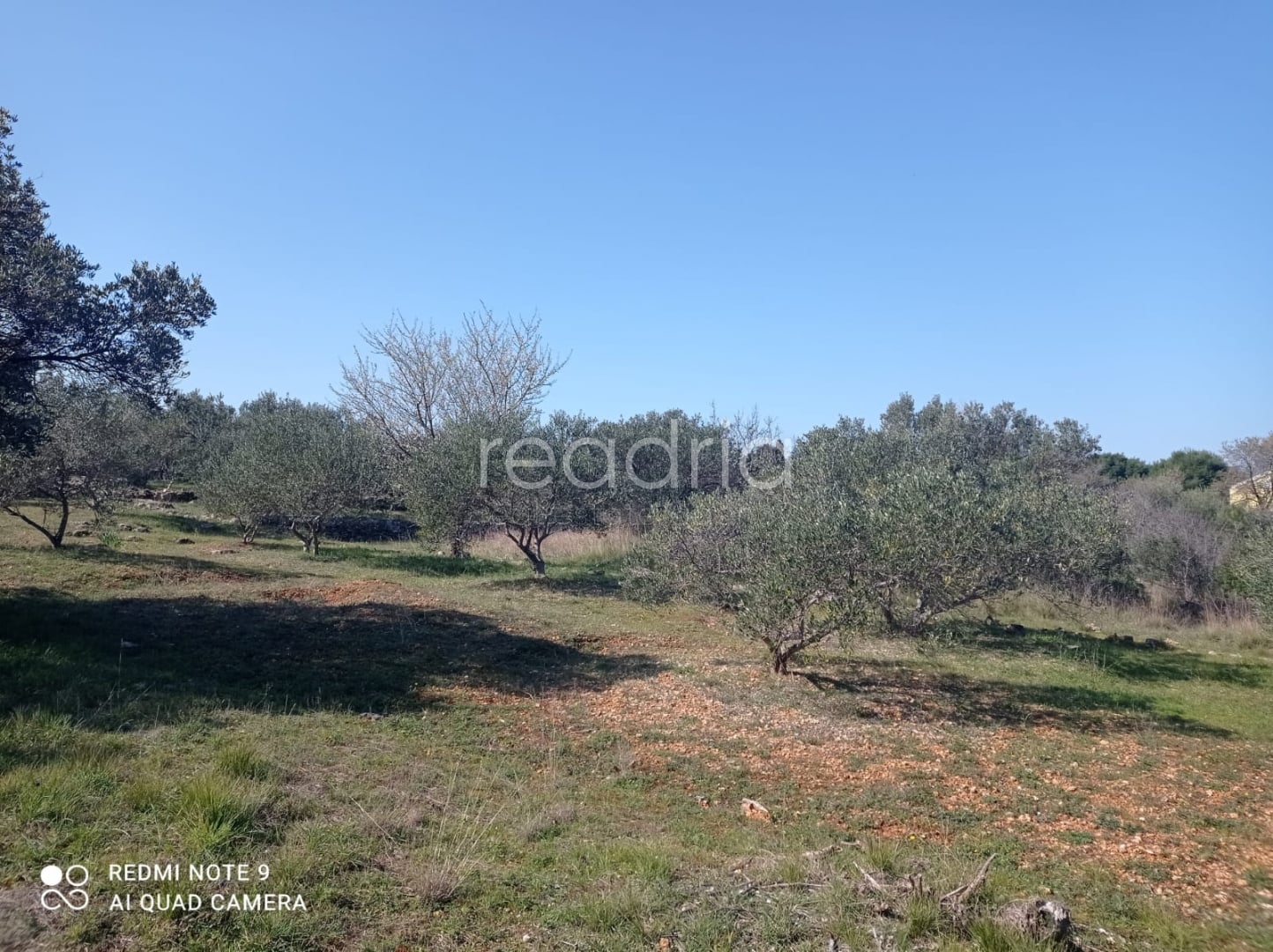 BUILDING LAND WITH SEA VIEW, PRVIĆ ŠEPURINE — Image 4
